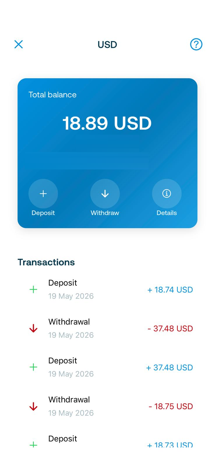 Digital dollar balance